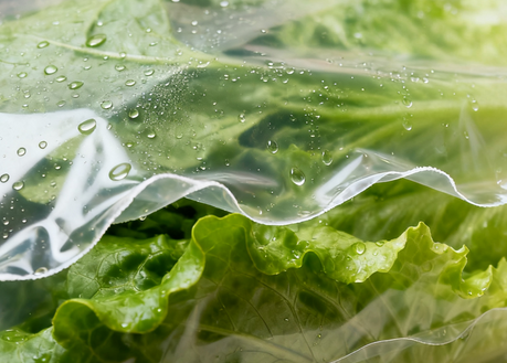 ���ϱ�ĤLFGB��֤��������